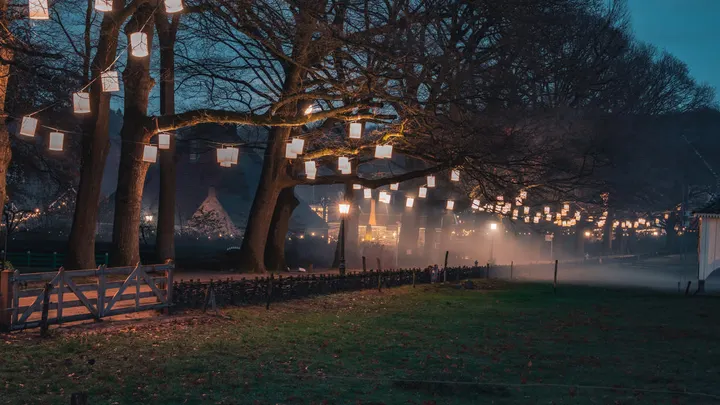 Het Nederlands Openluchtmuseum